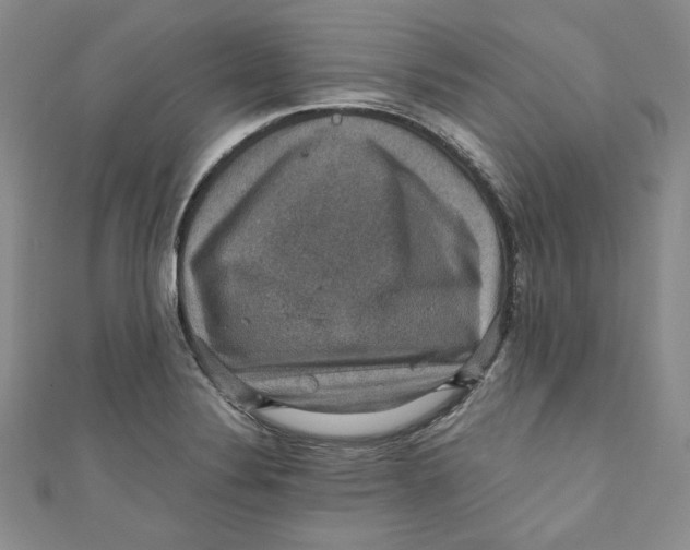 X0000110891324200907091346