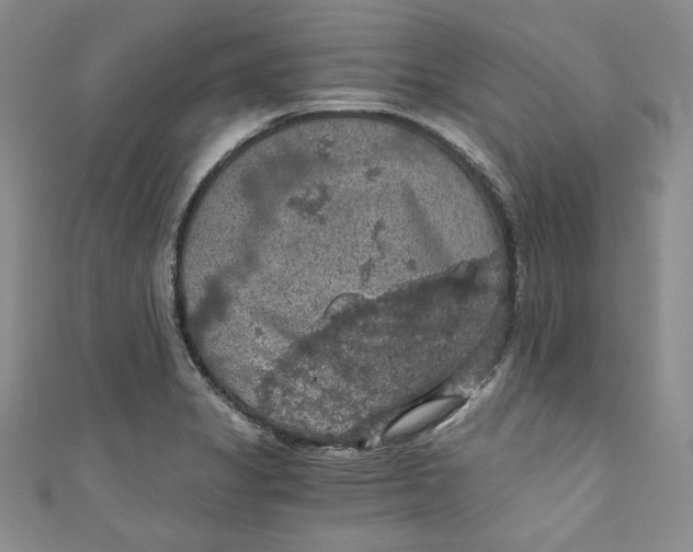 X0000110891325200907091346