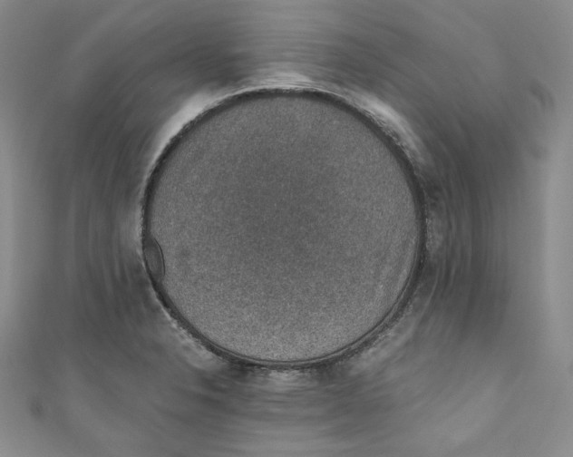 X0000110891326200907091346