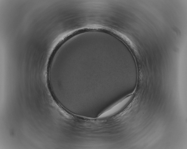 X0000110891327200907091346