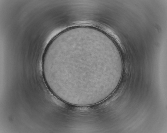 X0000110891328200907091346