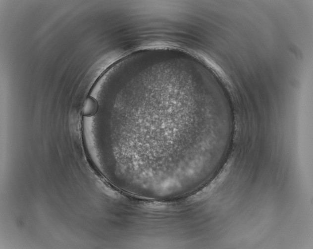 X0000110891329200907091346