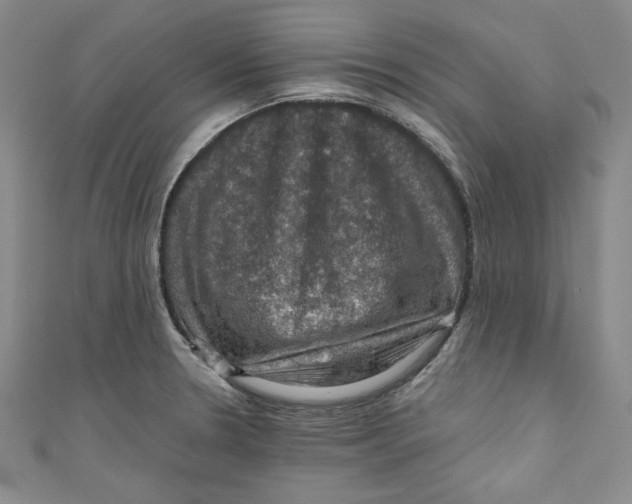 X0000110891330200907091346