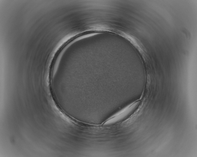 X0000110891331200907091346