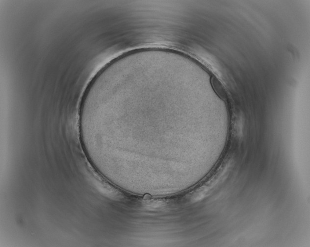 X0000110891332200907091346