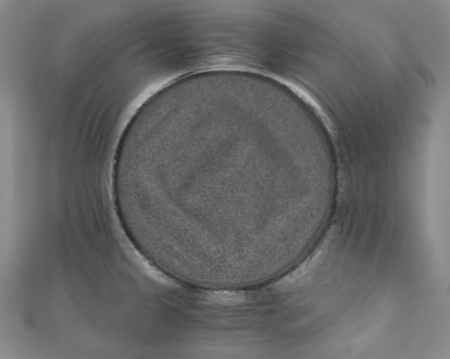 X0000110891333200907091346