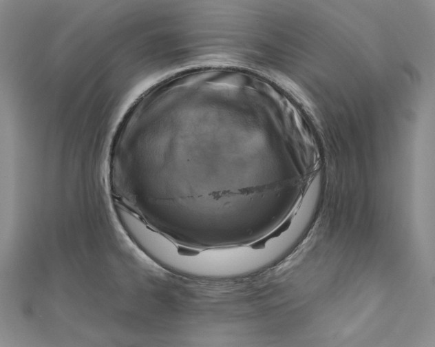 X0000110891334200907091346