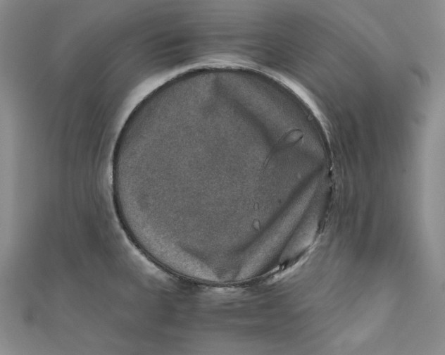 X0000110891335200907091346