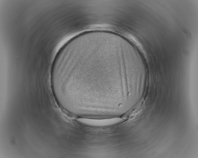 X0000110891336200907091346