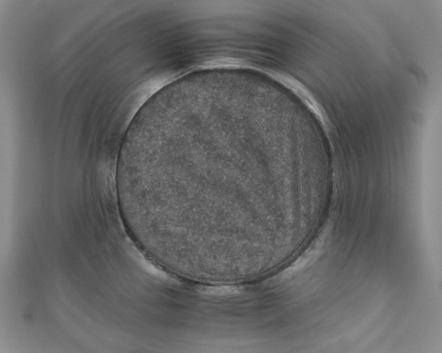 X0000110891337200907091346