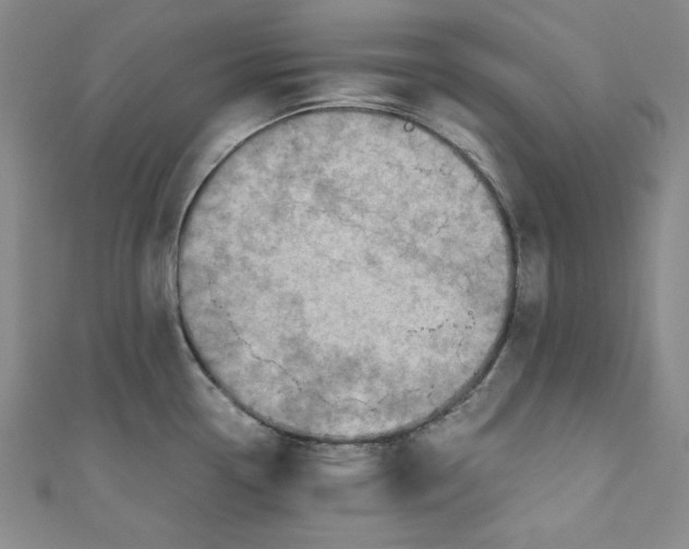 X0000110891338200907091346