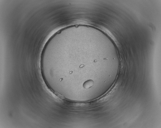 X0000110891339200907091346