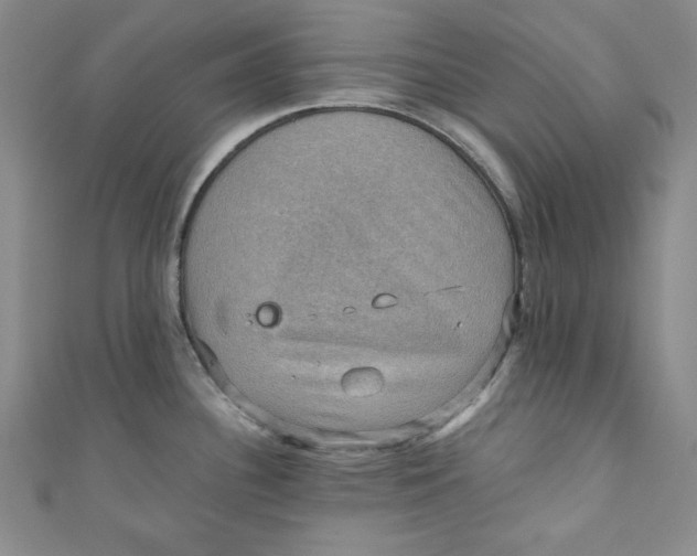 X0000110891340200907091346