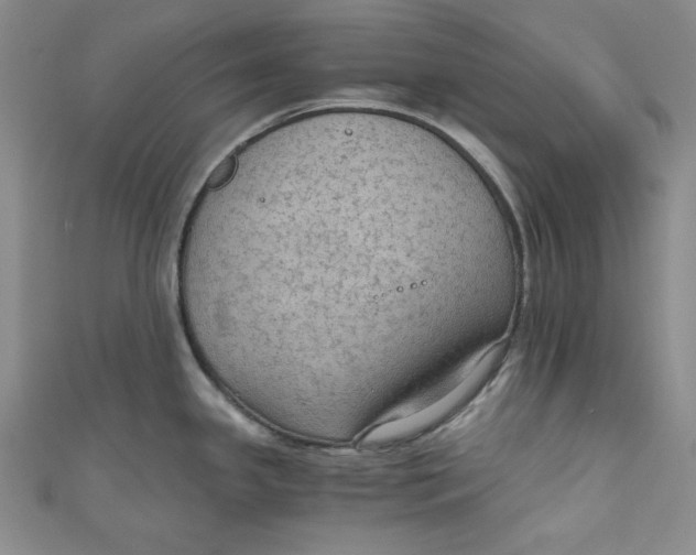 X0000110891341200907091346