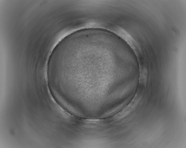 X0000110891342200907091346