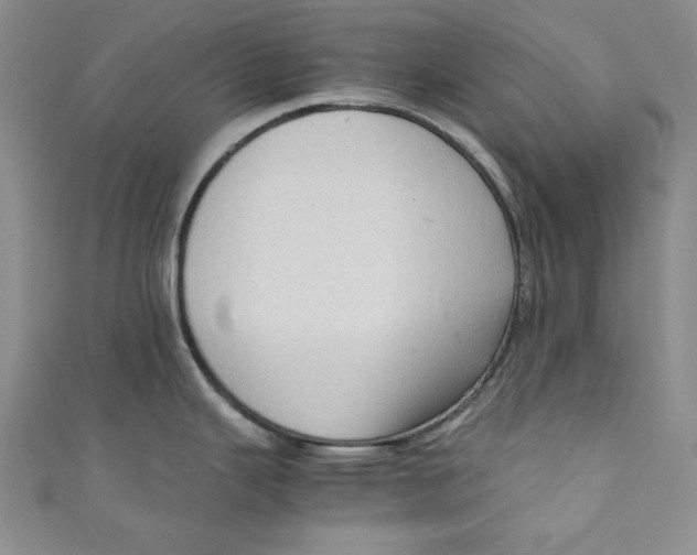 X0000110891343200907091346