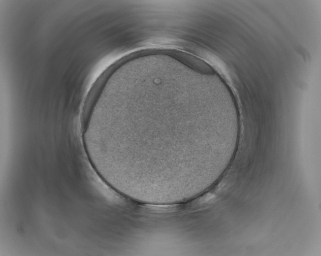 X0000110891344200907091346