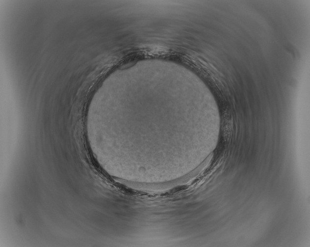 X0000110891345200907091345