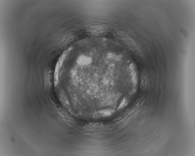 X0000110891346200907091345