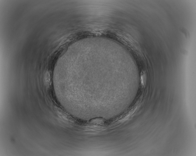 X0000110891347200907091345