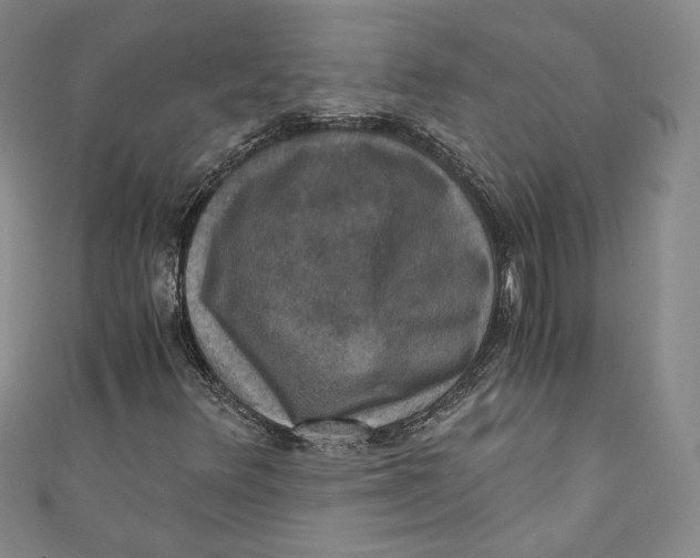 X0000110891348200907091345