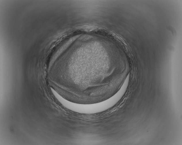 X0000110891349200907091345