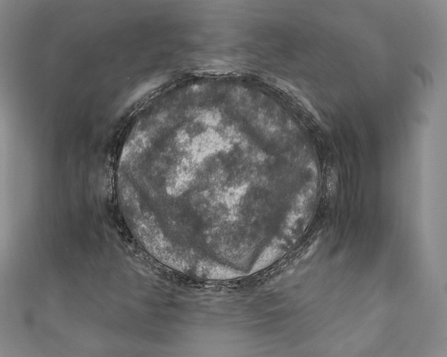 X0000110891350200907091345