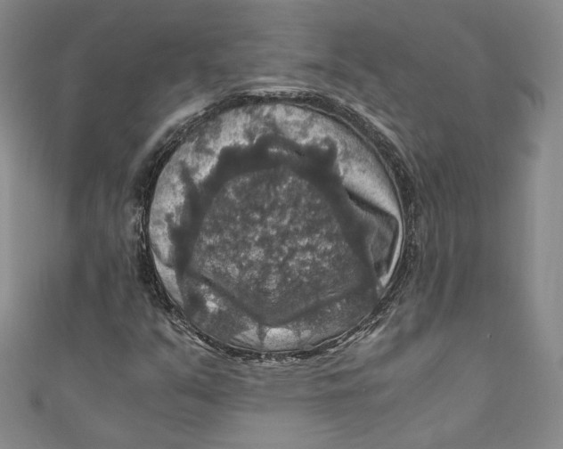 X0000110891351200907091345