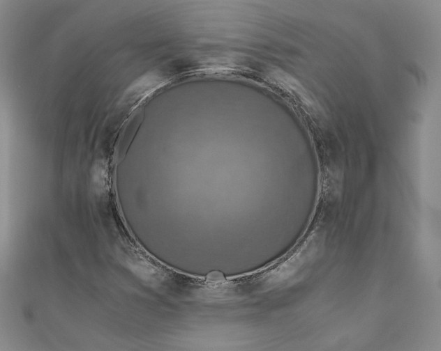 X0000110891353200907091345