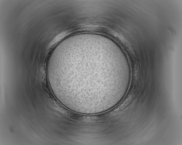 X0000110891354200907091345