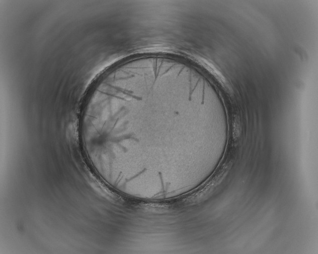 X0000110891356200907091345