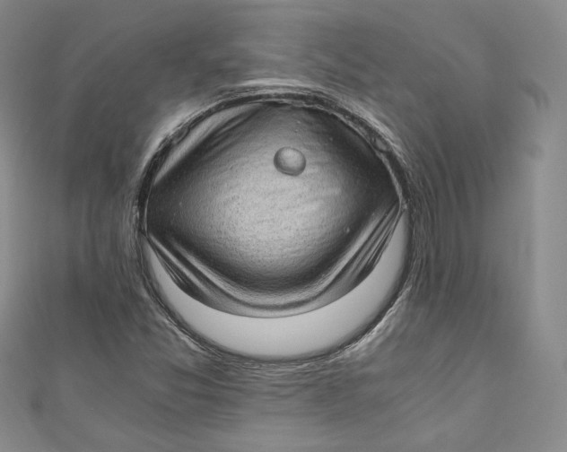 X0000110891357200907091345