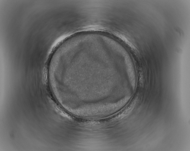 X0000110891358200907091345