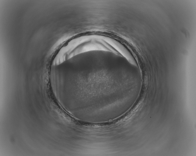 X0000110891359200907091345