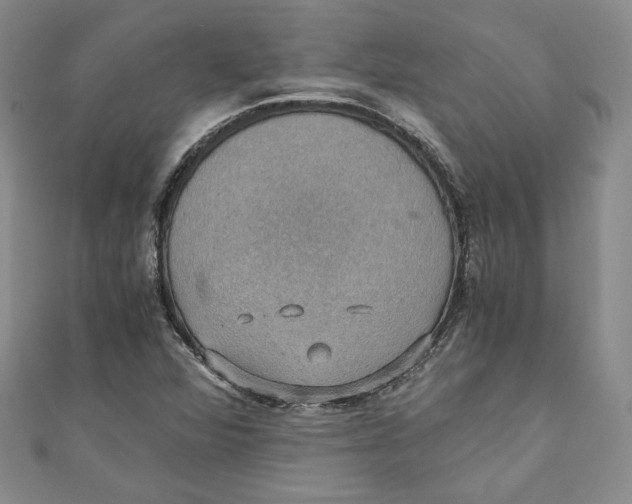 X0000110891360200907091345