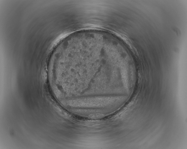 X0000110891363200907091345