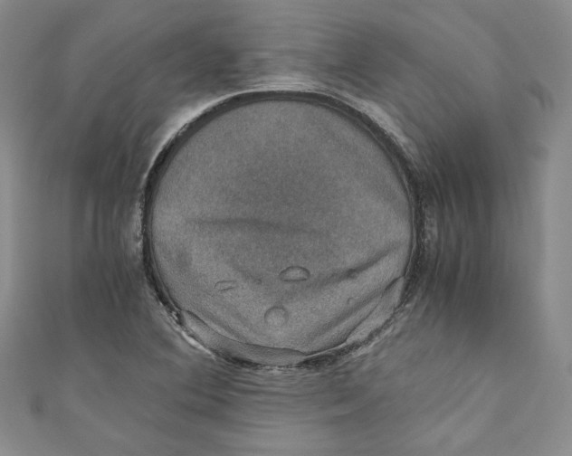 X0000110891364200907091345