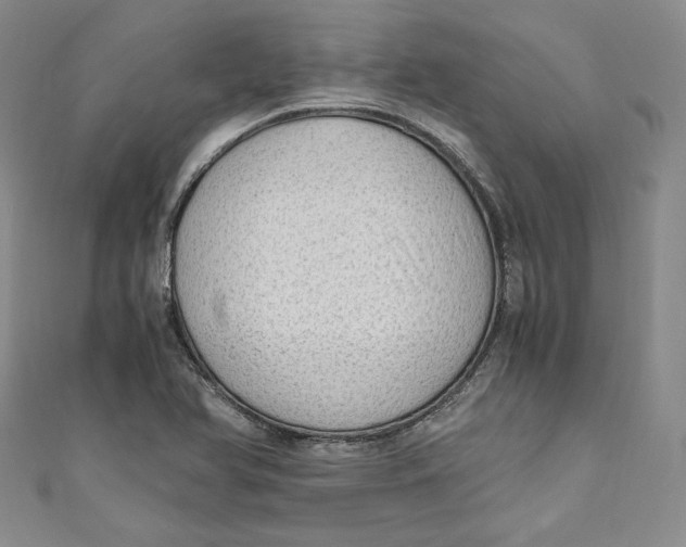 X0000110891366200907091345