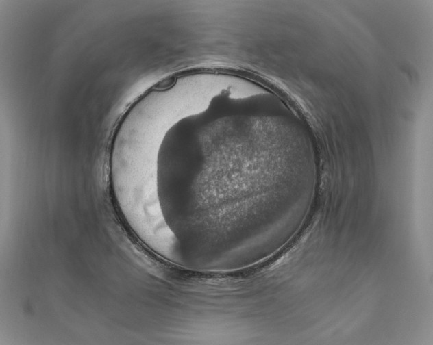 X0000110891367200907091345