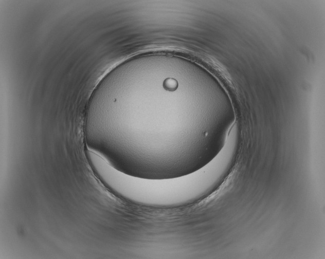 X0000110891369200907091345