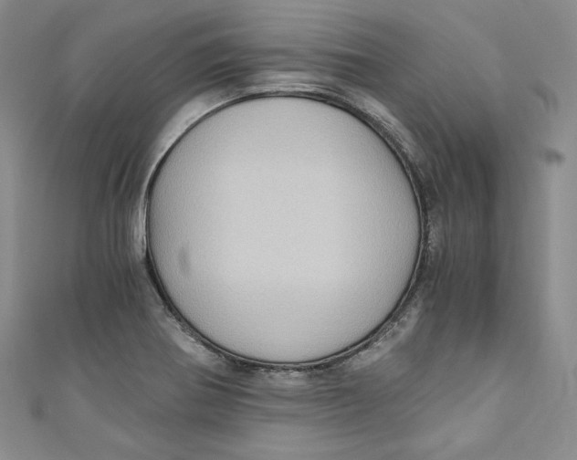 X0000110891370200907091345