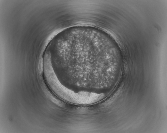 X0000110891371200907091345