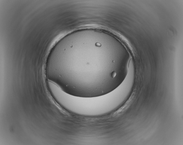 X0000110891373200907091345