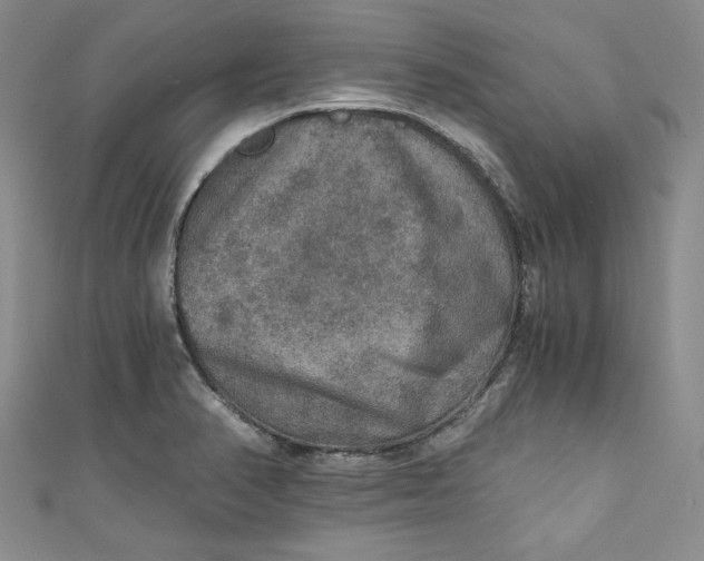 X0000110891374200907091345