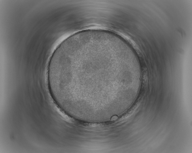 X0000110891375200907091345