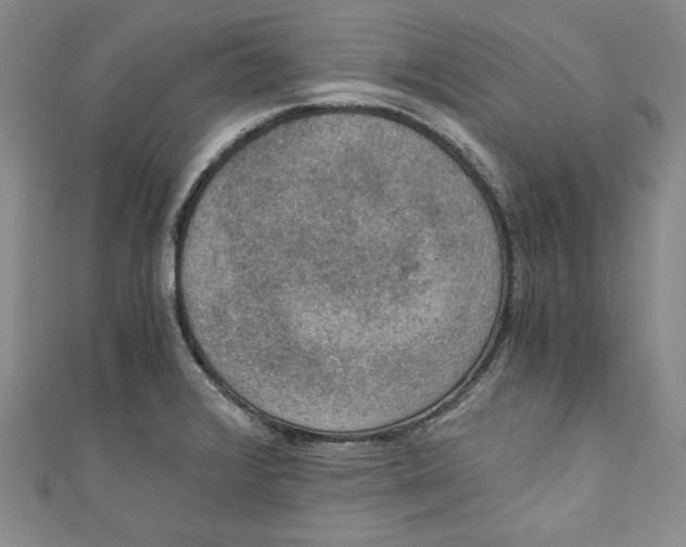 X0000110891376200907091345