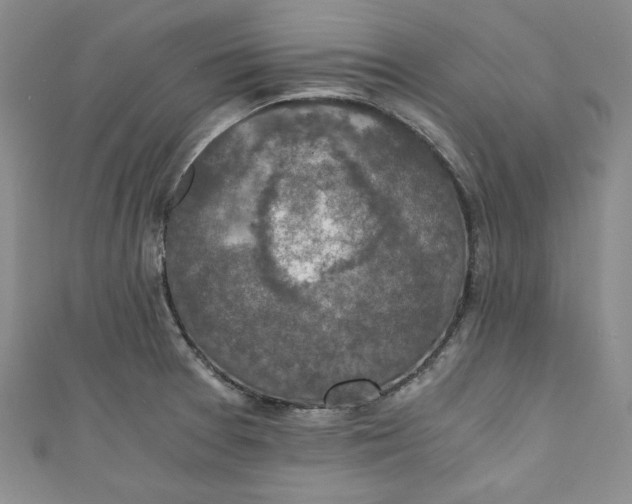 X0000110891377200907091345