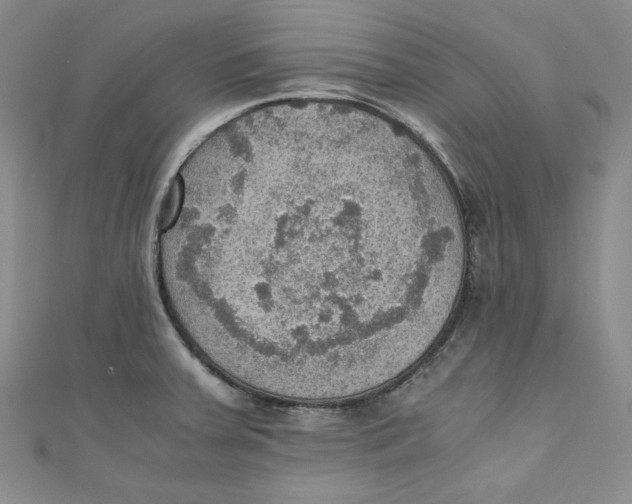 X0000110891379200907091345