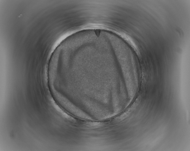 X0000110891382200907091345