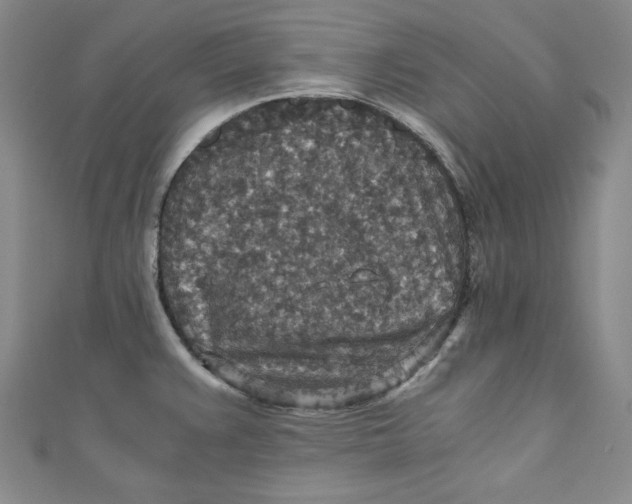 X0000110891383200907091345